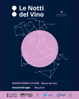 Le Notti del Vino, un viaggio tra vino, stelle e storia